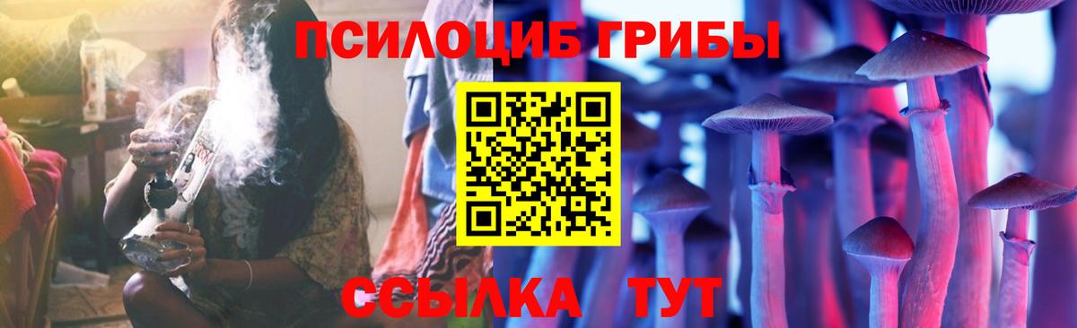 Псилоцибиновые грибы ЛСД Грозный